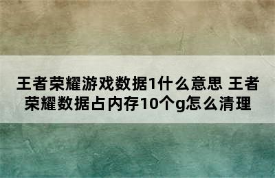 王者荣耀游戏数据1什么意思 王者荣耀数据占内存10个g怎么清理